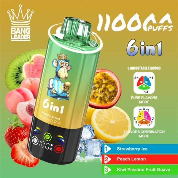 Bang-Leader-6in1-Flavor-110000-Puffs-Disposable-Vape Bang Leader 110K 110000 Puffs – 6 íz egy készülékben – termékkép