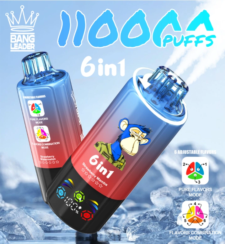 Bang Leader 110K 110000 Puffs – 6 íz egy készülékben - Nebulux Vape