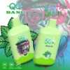 QQ BANG 50000 Puffs Mint ice QQ BANG 50000 Puffs Eldobható Vape – 50 000 Puff • Dual Mesh • Újratölthető – termékkép