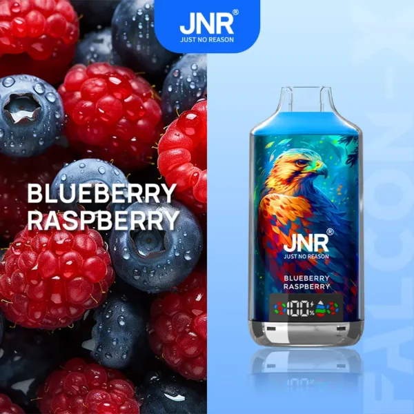 jnr-falon-x-18000-puffs-sleek-vape-jnr-falon-x-18000-puffs-blueberry-raspberry.webp JNR Falcon X 18000 Puffs – Egyszer használatos vape 18,000 puffal és 24 ml folyadékkal – termékkép
