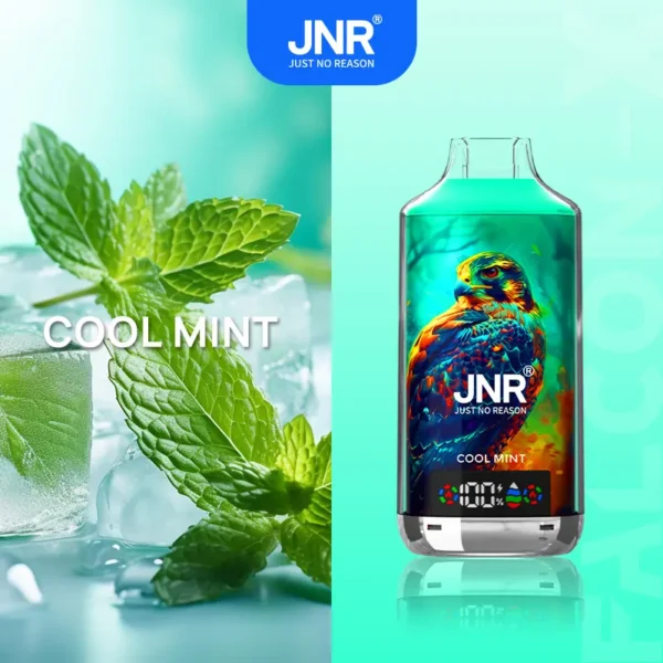 jnr-falon-x-18000-puffs-sleek-vape-jnr-falon-x-18000-puffs-cool-mint.webp JNR Falcon X 18000 Puffs – Egyszer használatos vape 18,000 puffal és 24 ml folyadékkal – termékkép
